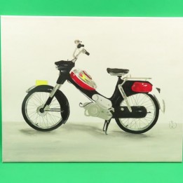 Hand painted canvas Puch VS-50 Hand painted canvas Puch VS-50